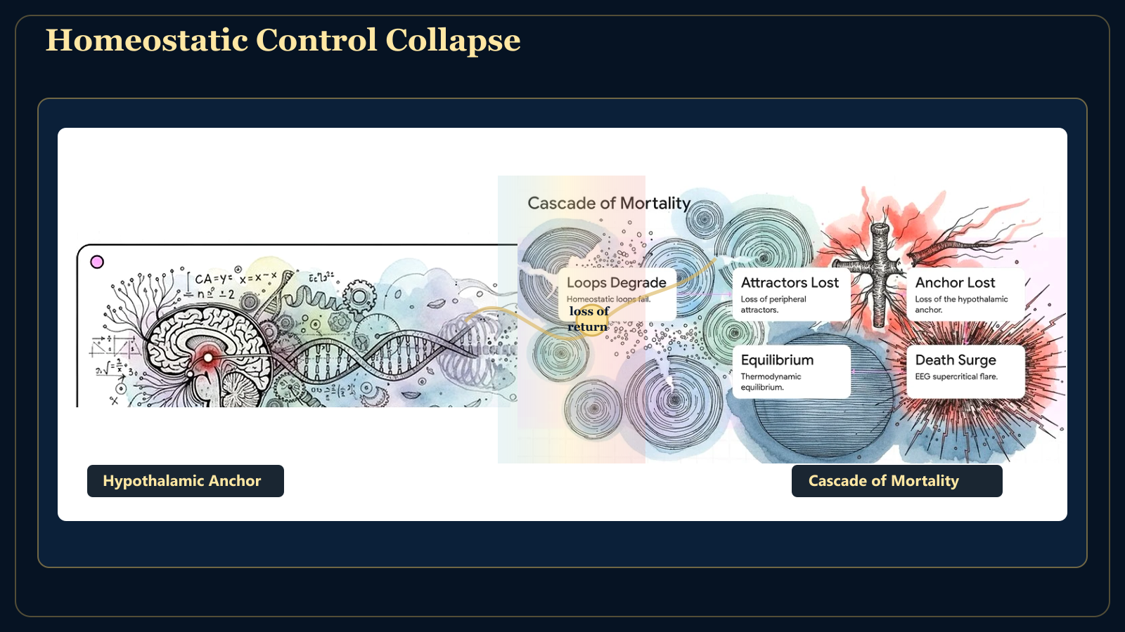 Homeostatic Control Collapse combined visual linking the hypothalamic anchor to the cascade of mortality.