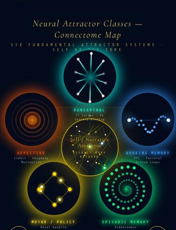 Neural attractor connectome, visualising life and self as an emergent network